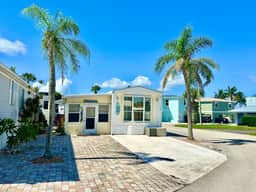 Livin the Dream (N2139)
