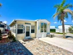 Livin the Dream (N2139)