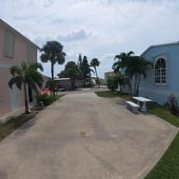 Nettles Island 1115