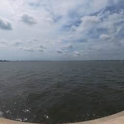 Nettles Island 1120