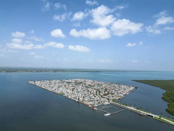 Nettles Island 0108