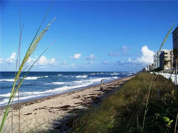Nettles Island 0338