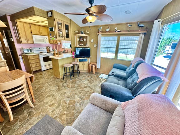 Livin the Dream (N2139)
